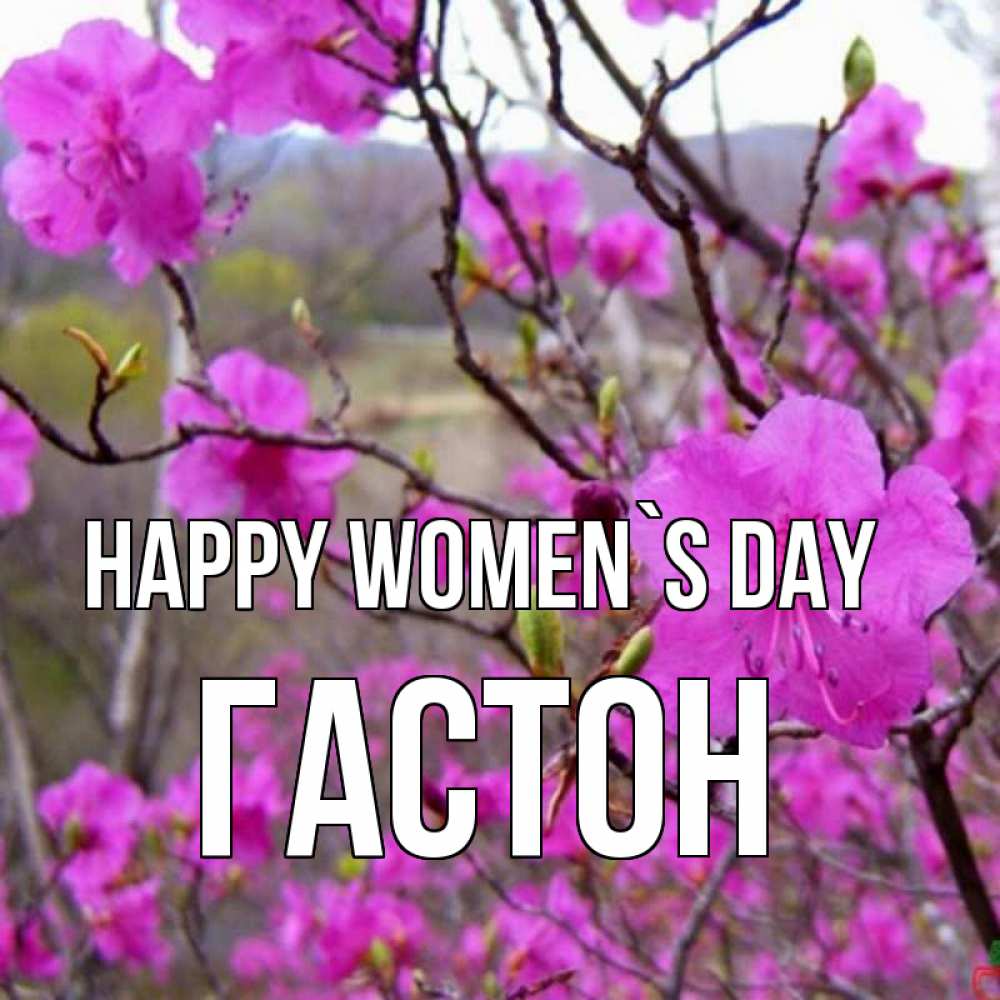Greetings card с именем, Гастон happy women`s day международный женский день Greetings with text for free download 